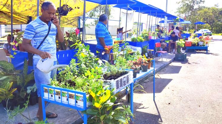 Em Macapá, Residencial Jardim Açucena movimenta economia criativa com Feira Agricultura e Arte