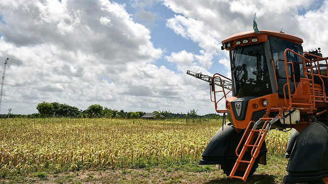 Agropecuária, no Amapá