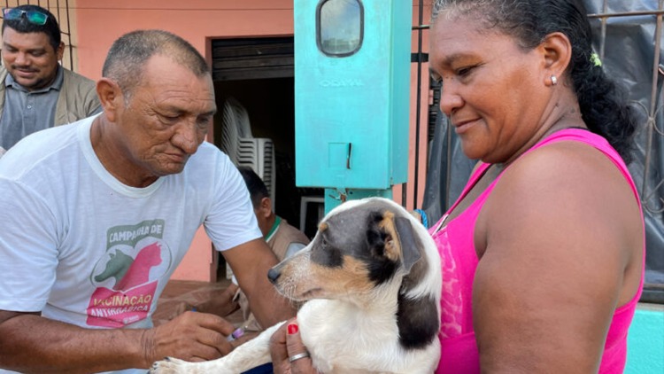 Dois pontos itinerantes de Vacinação Antirrábica; confira