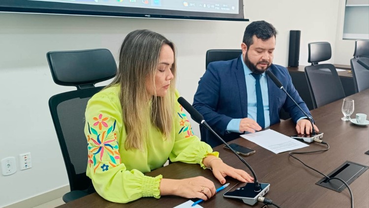 Comissão de Saúde da Alap se reúne e avança em projetos para melhorar a saúde no Amapá