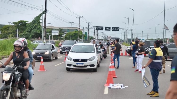Maio Amarelo: Governo do Amapá orienta motoristas sobre transporte seguro de animais no trânsito
