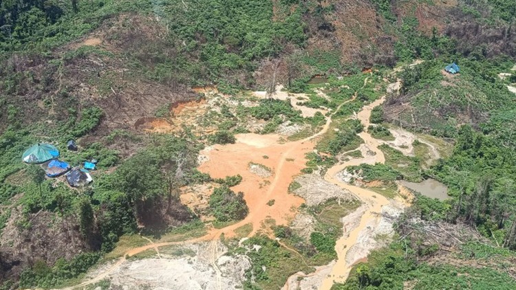 Governo Federal registra queda de 73% no número de alertas de garimpo na Terra Yanomami