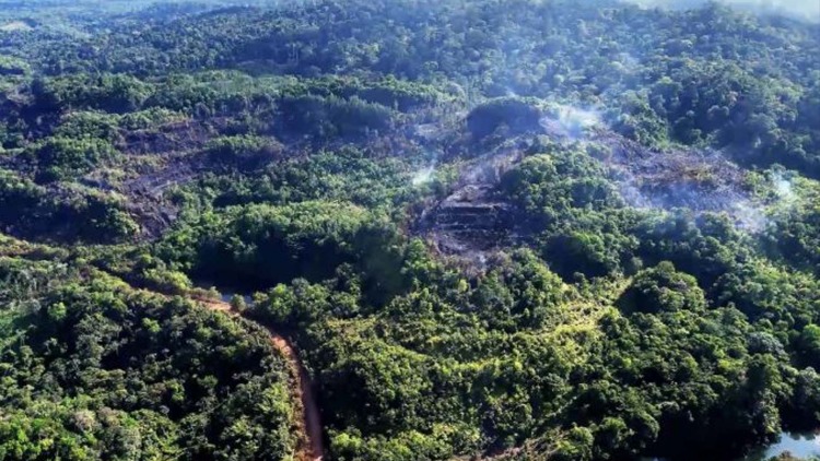 Equipes da operação Amapá Verde atuam no controle de incêndio florestal em Serra do Navio