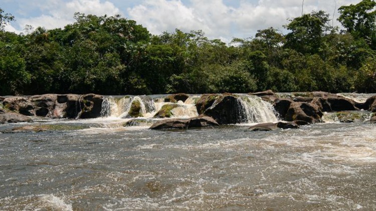 COP29: política sobre mudanças climáticas potencializa o Amapá como guardião da biodiversidade na Amazônia