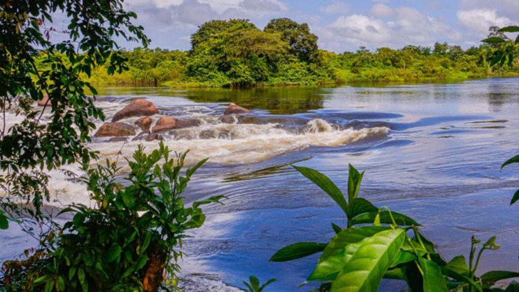 Pré-COP30: abertas as inscrições para os ‘Encontros Amazônicos’, em Macapá