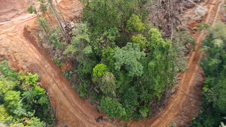 Governo do Amapá identifica causa da contaminação do Rio Cupixi em Porto Grande