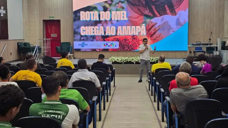 Apicultores do Amapá ampliam produção de mel após receber kits do Governo do Estado