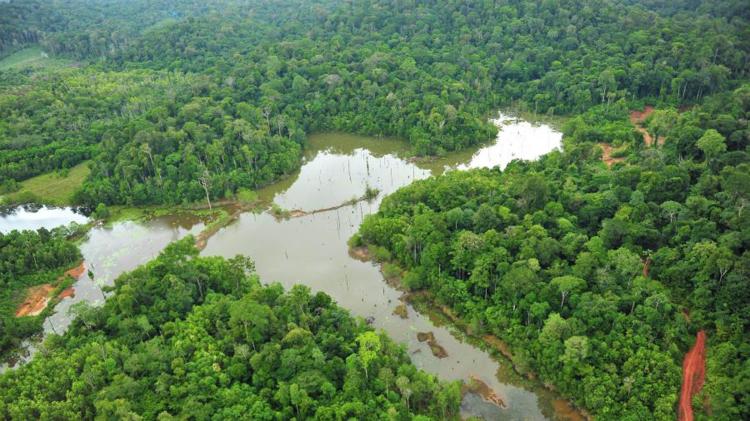 Governo do Amapá elabora projeto de desenvolvimento sustentável para apresentar ao Fundo Amazônia