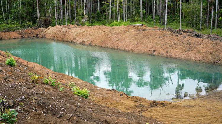 Programa Peixe na Mesa incentiva a piscicultura em Macapá