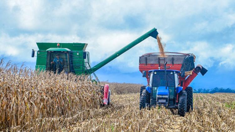 ‘Agro Show Amapá’: Governo do Estado promove debates sobre o fortalecimento do agronegócio na Amazônia