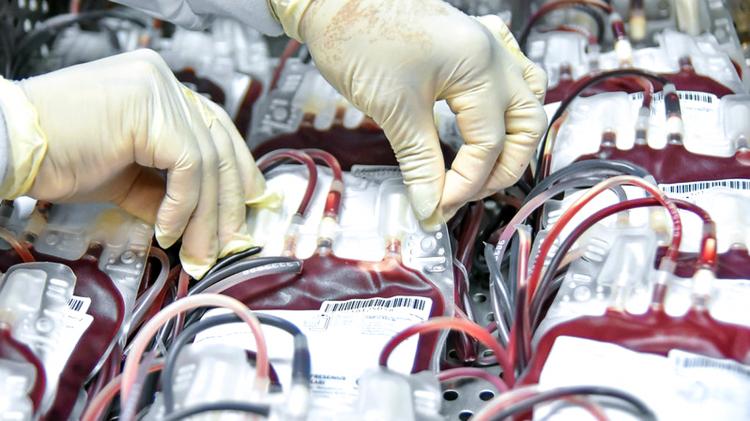 Hemoap registra queda nas doações de sangue durante os primeiros 45 dias de 2022