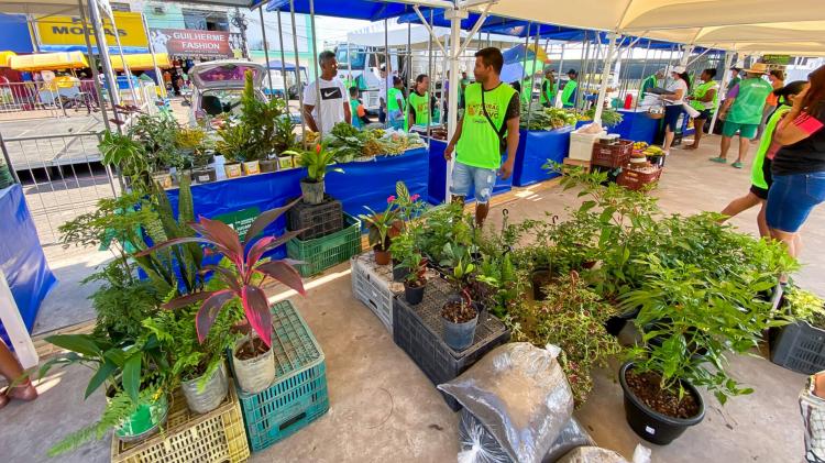 FOTOS: 4º Feirão do Povo movimenta economia, turismo e gastronomia no Mercado Central de Macapá