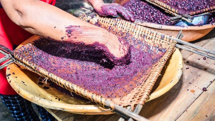 1º Festival do Açaí de Mazagão inicia na sexta-feira, 10; confira a programação