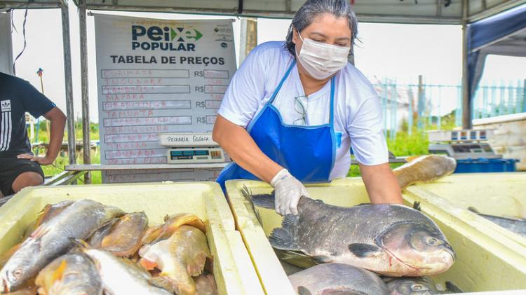 Peixe Popular: Governo prepara mais de 50 toneladas do pescado para a semana santa