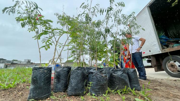 Macapá cidade verde: Prefeitura inicia corredor de biodiversidade de 1km na Fazendinha