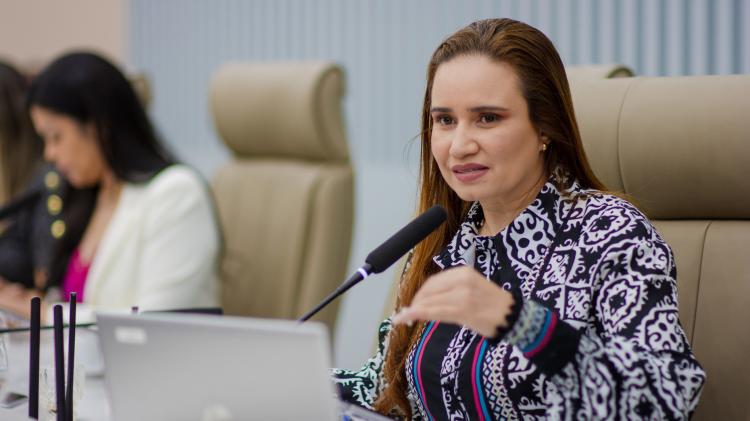ALAP aprova projeto que cria o Dia Estadual em Defesa da Democracia