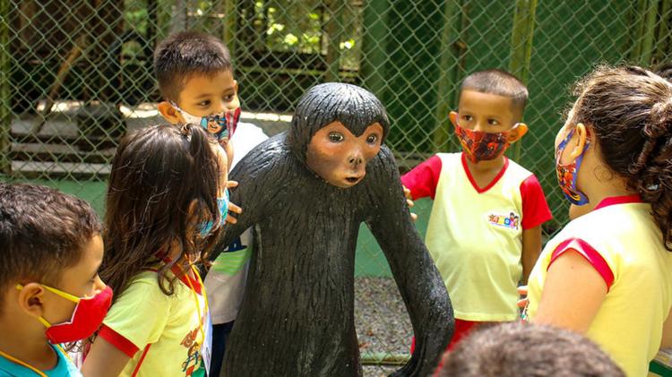 Alunos aprendem brincando a importância da natureza no Bioparque da Amazônia