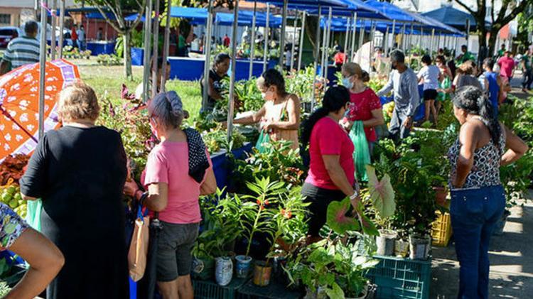 34ª edição da Feira Agricultura e Arte viabiliza produtos produzidos no município