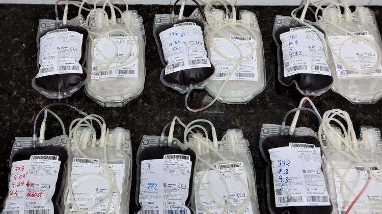 Hemoap reforça pedido por doações das tipagens sanguíneas O+ e O- 