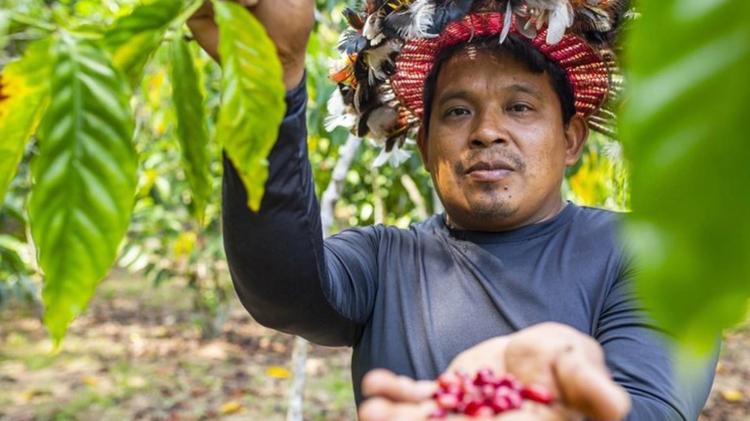 Investimento de R$ 2 milhões do Governo Federal fortalece o PAA junto a comunidades indígenas no Amapá