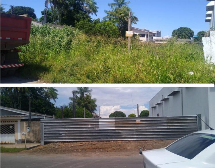 Terreno Limpo: Após notificação da prefeitura, 50% dos lotes receberam limpeza
