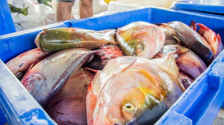 Governo confirma Peixe Popular da semana santa para o período de 4 a 7 de abril