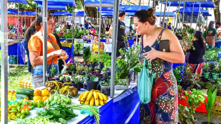 Praça Nossa Senhora da Conceição recebe 15ª edição da Feira Agricultura e Arte neste sábado (3)
