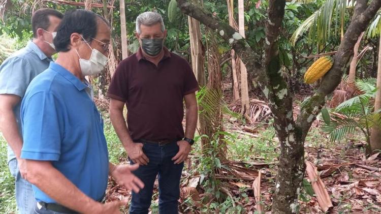 Amapá Cacau: Comitiva amapaense visita propriedades e cooperativa cacaueiras no Pará