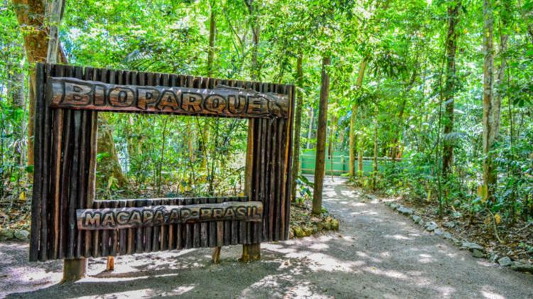 Dia da Amazônia: Bioparque preserva maior espaço urbano de área verde no Amapá