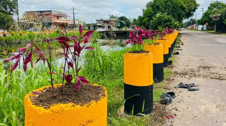 Em Macapá, tubos de concretos do canal do Beirol recebem plantio de mudas ornamentais