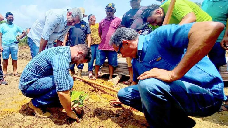 Amapá Cacau: em Dia de Campo, produtores recebem orientações sobre plantio de mudas