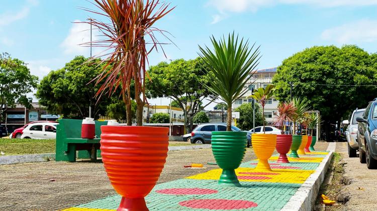 Prefeitura de Macapá orienta que a população denuncie furto de plantas em espaços públicos