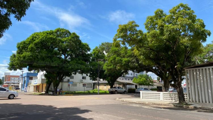 Prefeitura orienta macapaenses sobre podas de árvores durante período de inverno