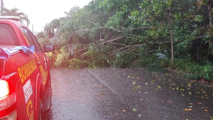 Corpo de Bombeiros atende ocorrências provocadas pela chuva forte em Macapá