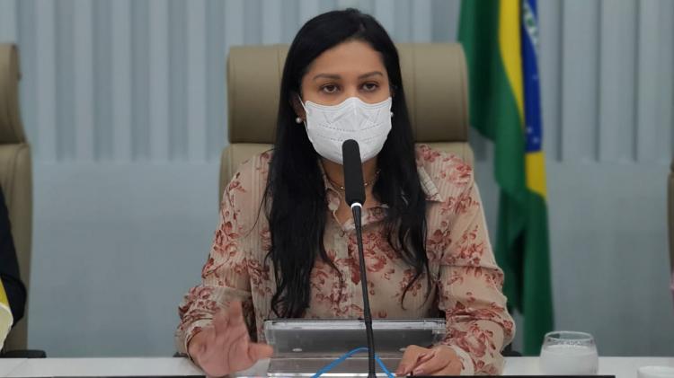 Comissão de Turismo da Alap debate o funcionamento do aeroporto de Oiapoque e a abertura da fronteira