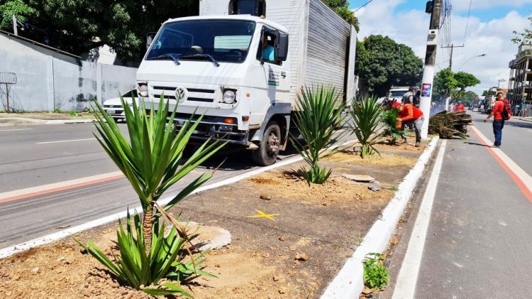 PMM realiza paisagismo em trecho da A Banda
