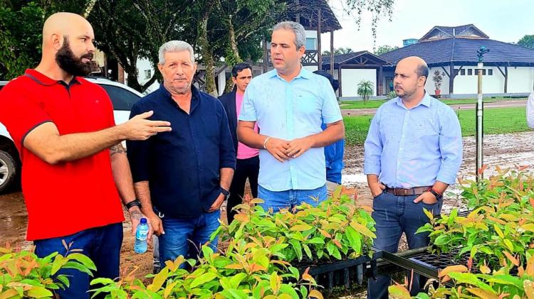 Amapá Cacau: Tartarugalzinho passa a integrar o programa e receberá 50 mil sementes