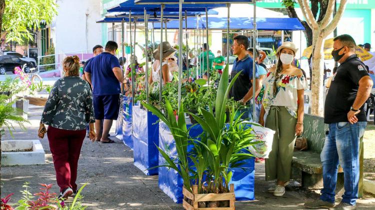 Em Macapá, produtos artesanais e da agricultura familiar estarão disponíveis durante feira neste sábado (7)