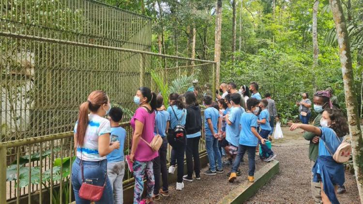 Bioparque da Amazônia passa a receber excursão de escolas de todo o Amapá; saiba como agendar