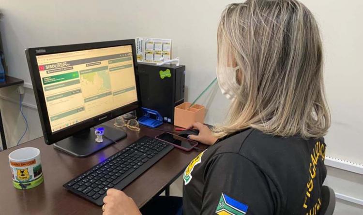 Diagro emite primeira Guia de Trânsito Animal utilizando nova ferramenta digital