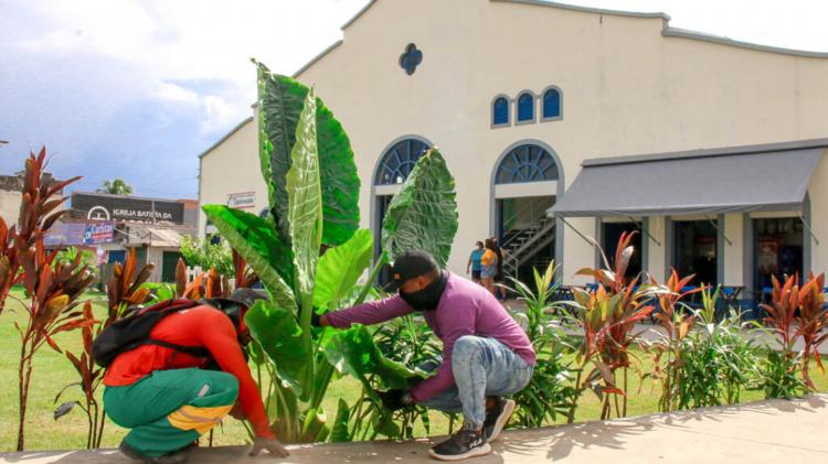 Mercado Central ganha paisagismo em jardim com diversas espécies de plantas ornamentais