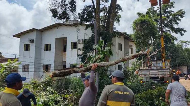 Prefeitura realiza supressão de árvore para garantir segurança de moradores no bairro Nova União