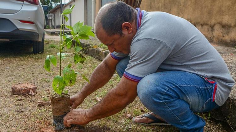 Em Macapá, projeto possibilita que áreas de lixeira sejam transformadas em jardins