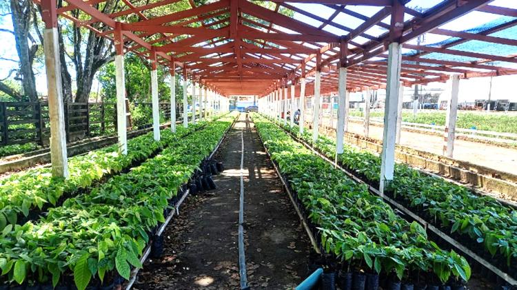 Circuito Tecnoagro inicia com incentivos para o potencial produtivo do Amapá