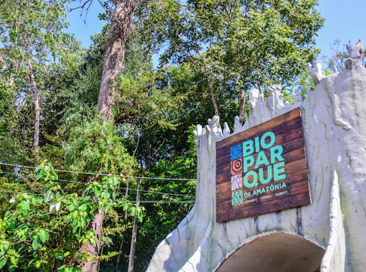Conheça a história dos animais mais antigos do Bioparque da Amazônia
