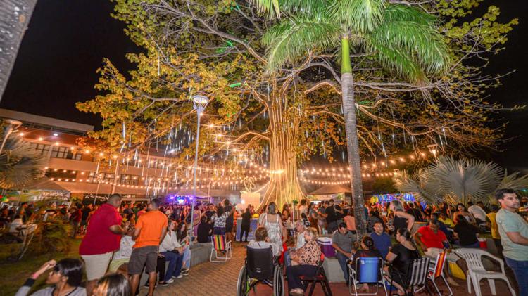 Luau da Samaúma celebra 80 anos da histórica árvore com atrações culturais