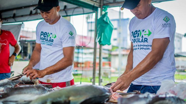 Peixe Popular: Mais de 22 toneladas de pescado foram comercializadas em dois dias