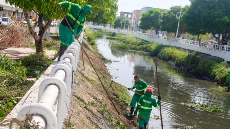 Prefeitura de Macapá avança no Plano de Inverno, com poda de árvores, limpeza de canais e vias da cidade