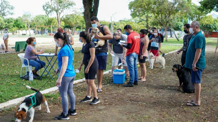 Vacinação antirrábica: confira os pontos itinerantes de 6 a 10 junho em Macapá