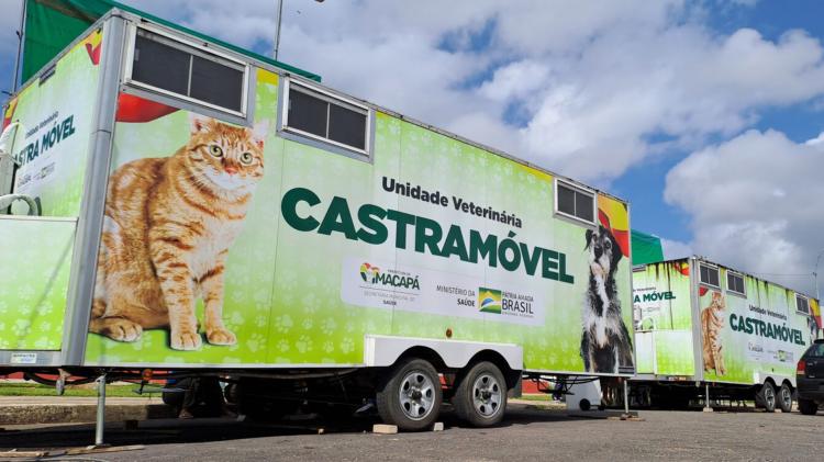 Cães machos são novos públicos-alvo para atendimentos do Castramóvel Itinerante